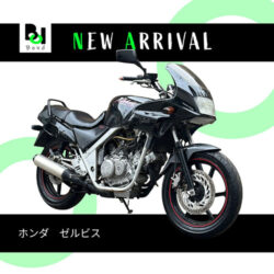 写真：ホンダゼルビス