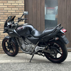 写真：ホンダゼルビス