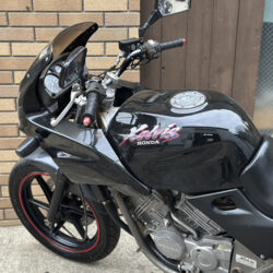 写真：ホンダゼルビス