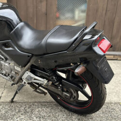 写真：ホンダゼルビス