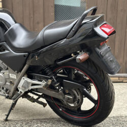 写真：ホンダゼルビス