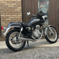 写真：スズキボルティー