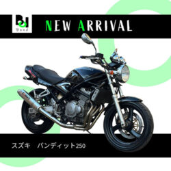 写真：スズキバンディット250