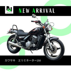 写真：カワサキエリミネーター250