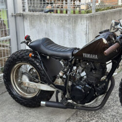 写真：ヤマハTW200