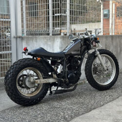 写真：ヤマハTW200