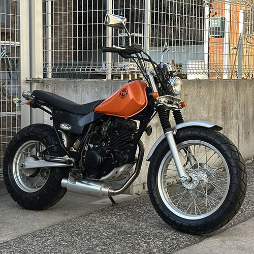 写真：ヤマハTW200