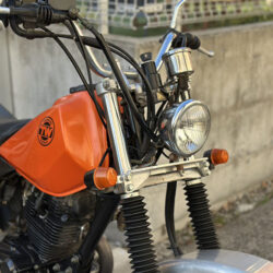 写真：ヤマハTW200