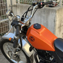 写真：ヤマハTW200