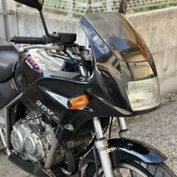 写真：ホンダゼルビス