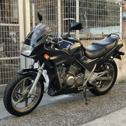 写真：ホンダゼルビス