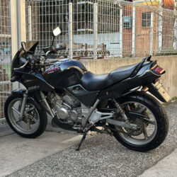 写真：ホンダゼルビス