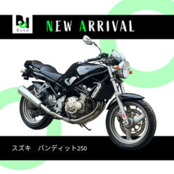 写真：スズキバンディット250