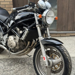 写真：スズキバンディット250