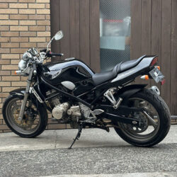 写真：スズキバンディット250