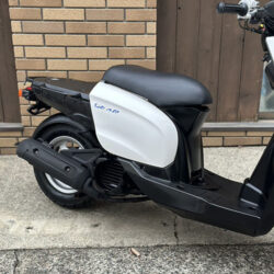 写真：ヤマハギア