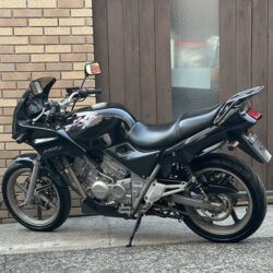 写真：ホンダゼルビス