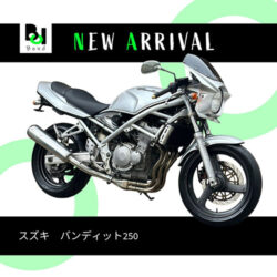 写真：スズキバンディット250