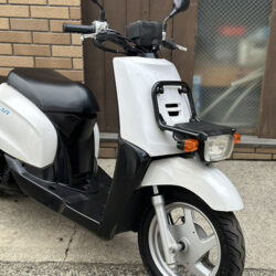 写真：ヤマハギア