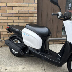 写真：ヤマハギア