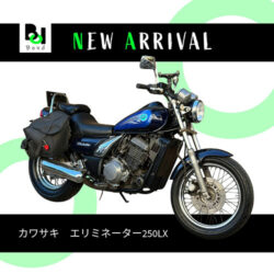 写真：カワサキエリミネーター250LX