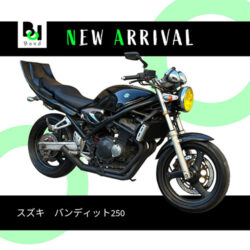 写真：スズキバンディット250