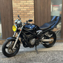 写真：スズキバンディット250